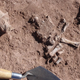 Illustration for article titled Ancient Bolivians Used Basic Chemistry To Strip Flesh From Human Bones